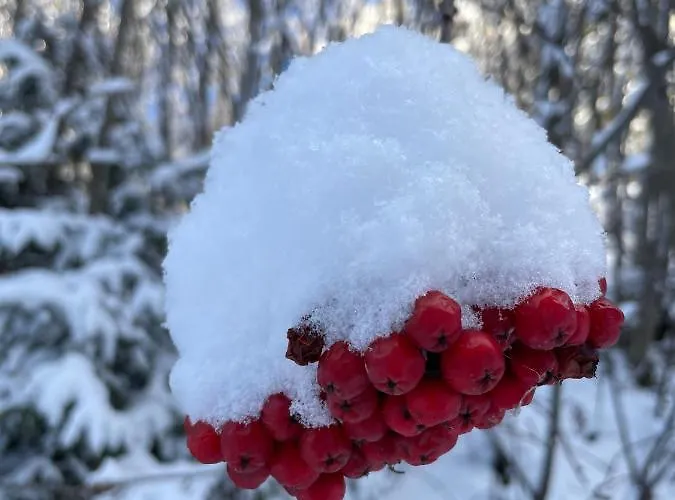 Haus Wechner Apartament Flirsch